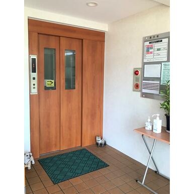 マブランシェット弦月