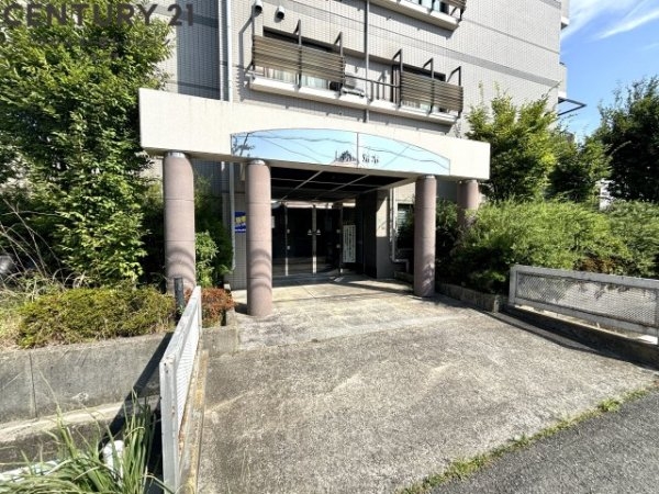 レキオ荒木