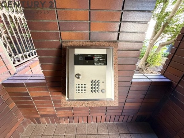 ダンディライオン宝塚