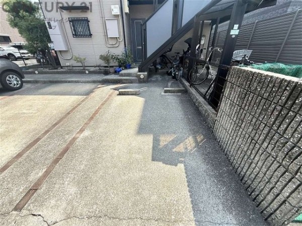 ドルフ甲子園