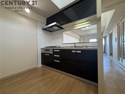 ドムストリア