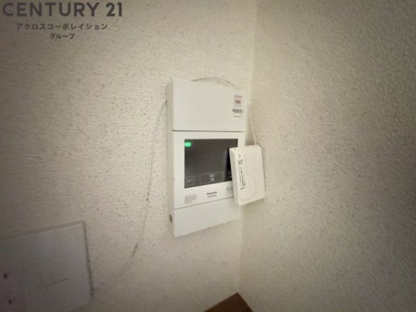 ドムストリア