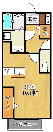 Ｌｕｃｉｏｌｅ山本
