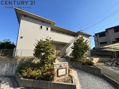 Luciole山本