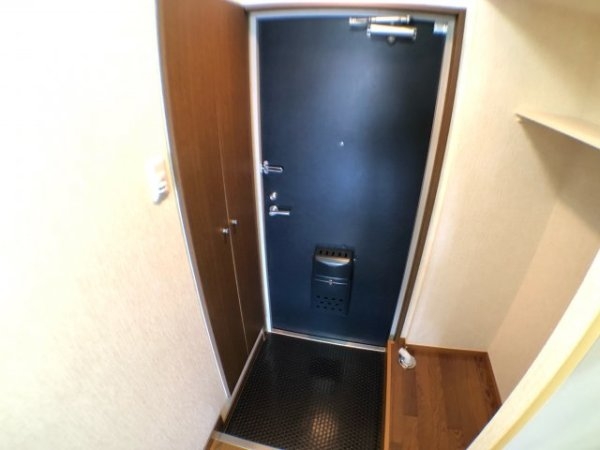 ステラハウス11