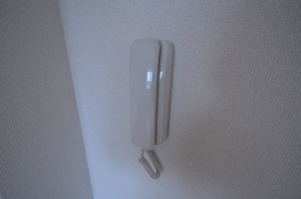 れじでんしあ門戸
