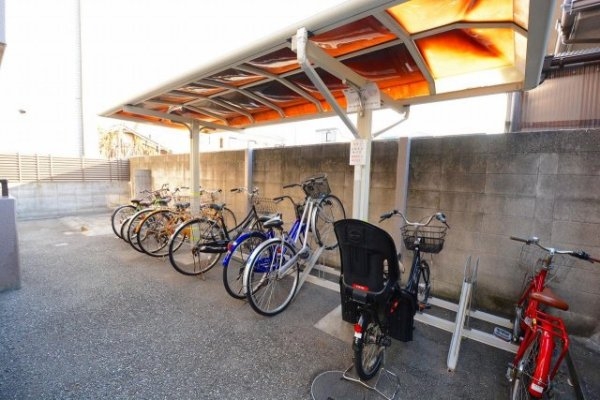 サクシード甲子園
