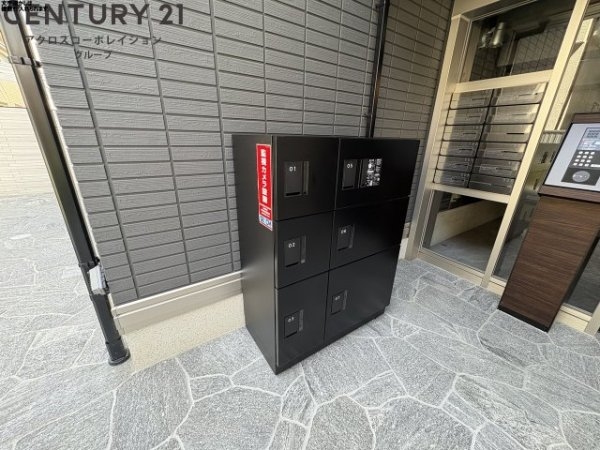 カリーノディモーラ