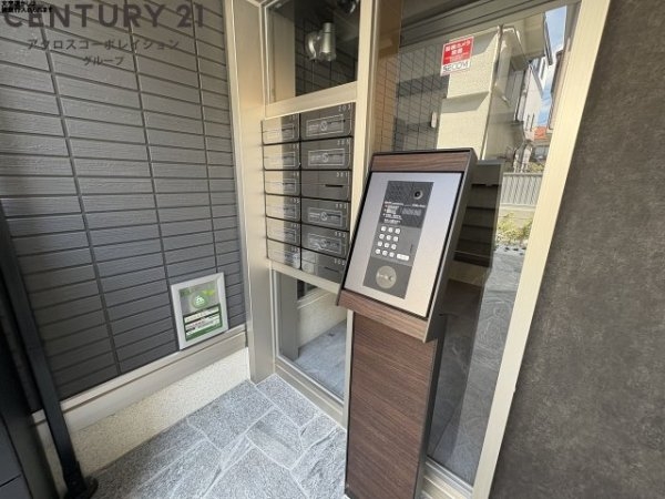 カリーノディモーラ