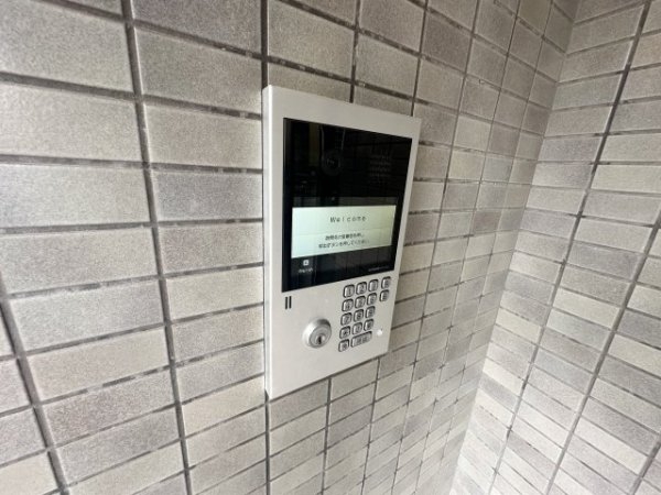 FigTree2号館
