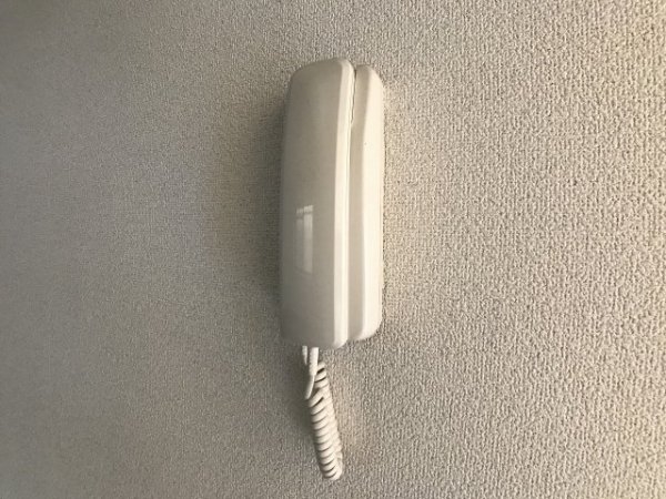 パラディオン2