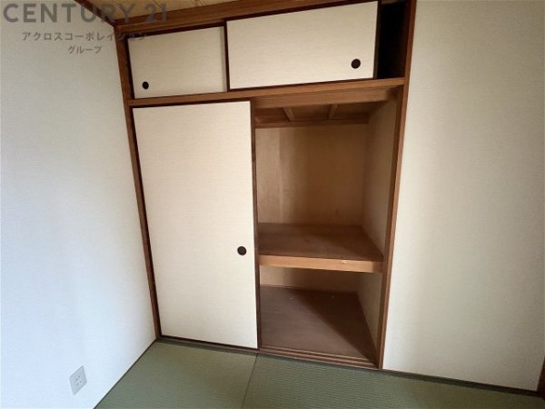 エルディムコスモ1