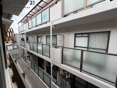 井上文化