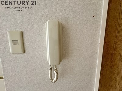 パレスブルート