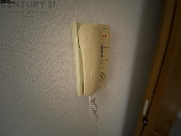 ジョイモアー