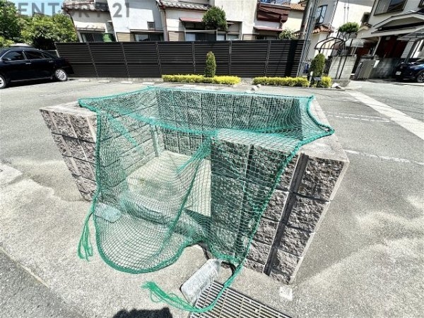プラシード