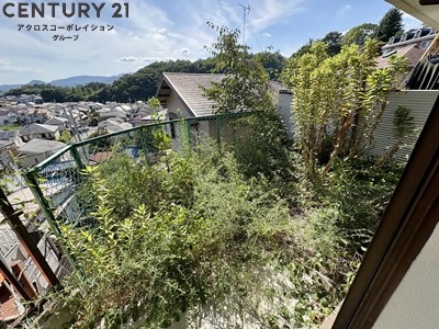 ハイム山本
