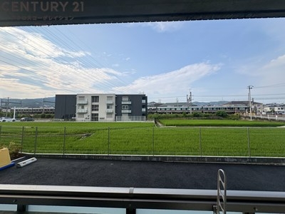 エルピスN5