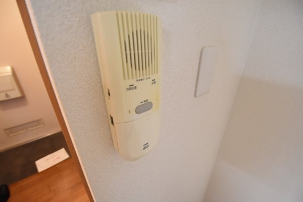 エスコート行基