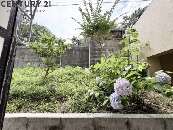 白井マンション