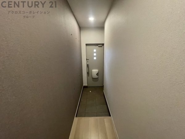 カームデイズ