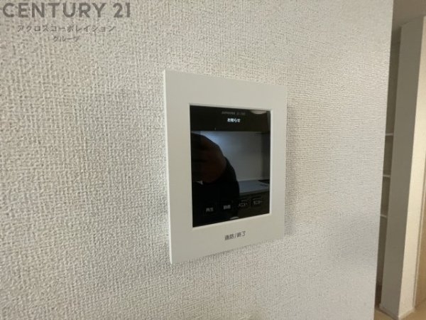 カームデイズ