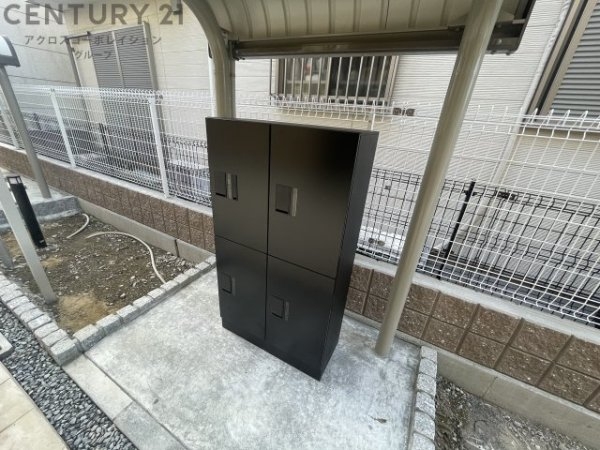 カームデイズ