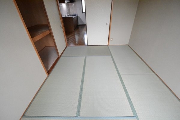 Vコート