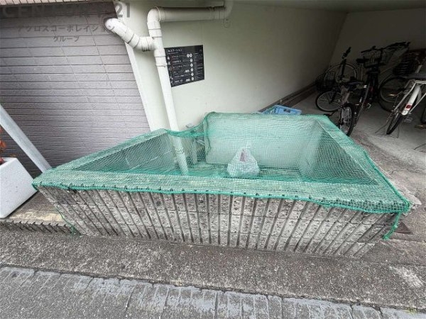 セブン