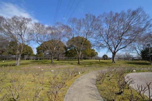 アルコ北園田(尼崎市立農業公園)
