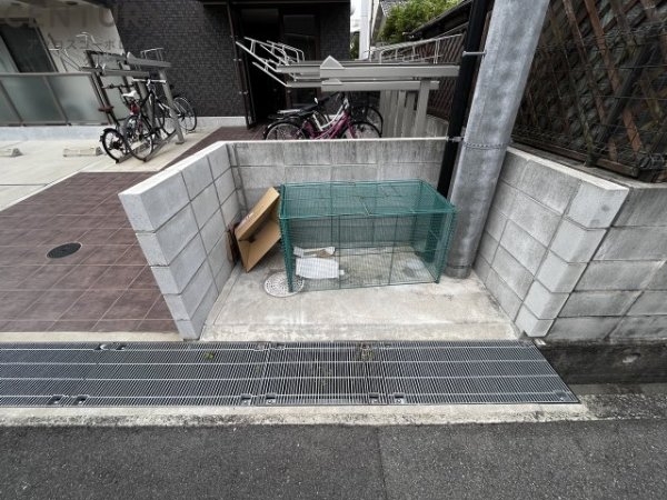 AILE稲野