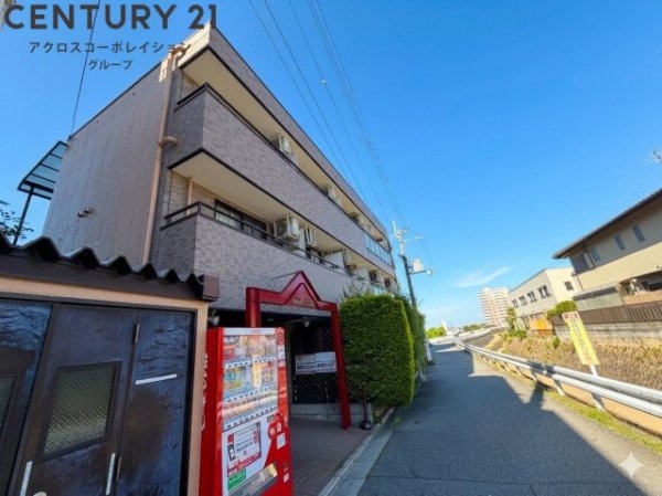MOMO仁川