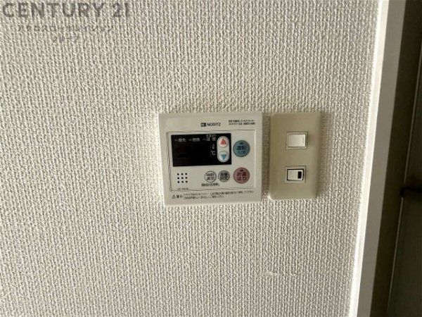 プティソレイユ