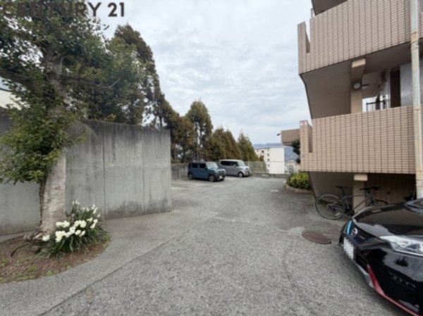 ドムール宝塚