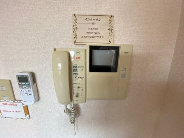 メルヴェイユドミール