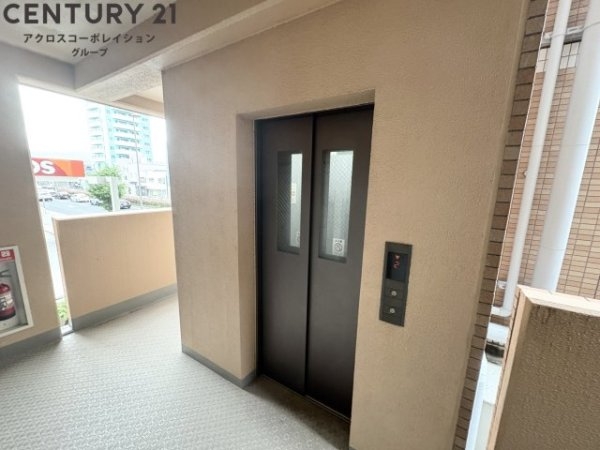 パレス東洋上甲子園