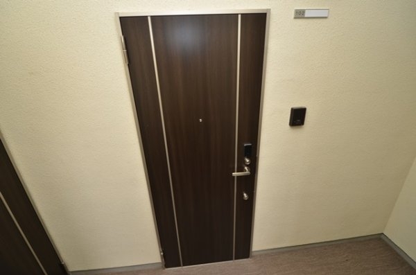 リノ向月町