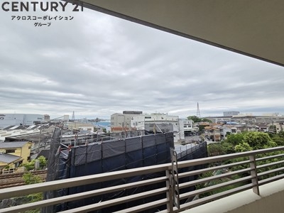 ひよどり