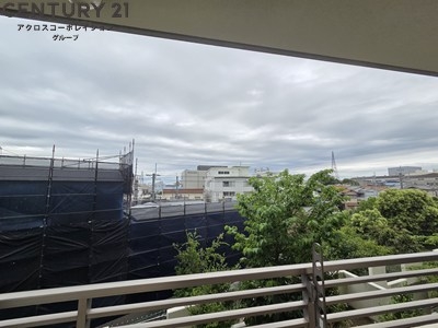 ひよどり
