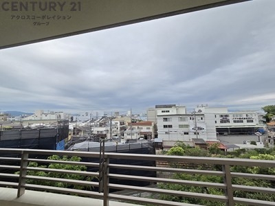 ひよどり