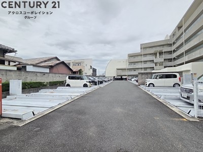 ひよどり
