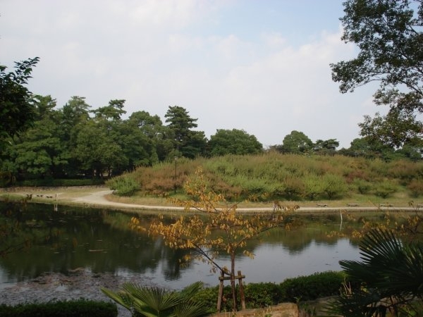 高台１丁目26テラス　南４(緑ケ丘公園)