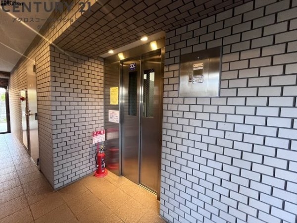 ドルチェ甲子園