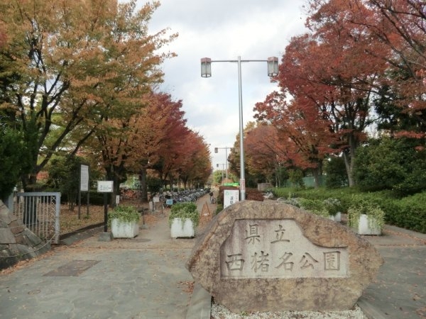 シャレード(西猪名公園)