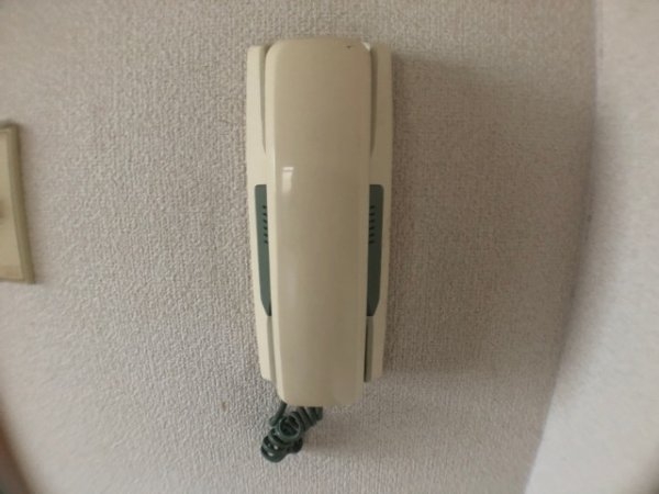 リバティ稲野