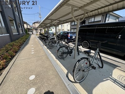 エクセラン