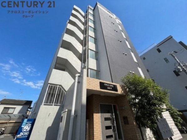 ONLY ONE小花2