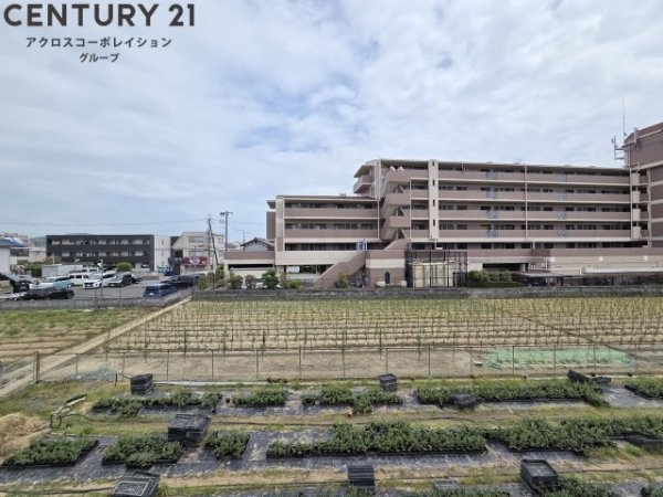 瑞ヶ池久保ハイツ