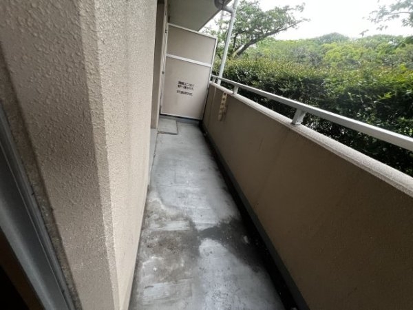 プリ―マ巽