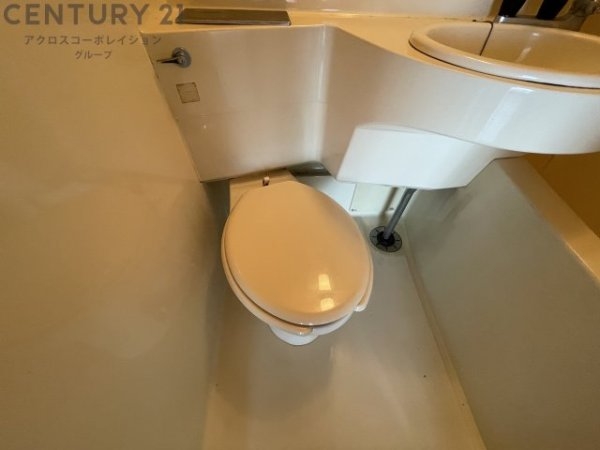シャトルイツキ